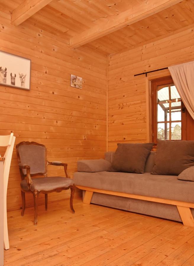 Gospodarstwo Agroturystyczne Z Basenem & Spa I Alpakami 厄尔科 外观 照片