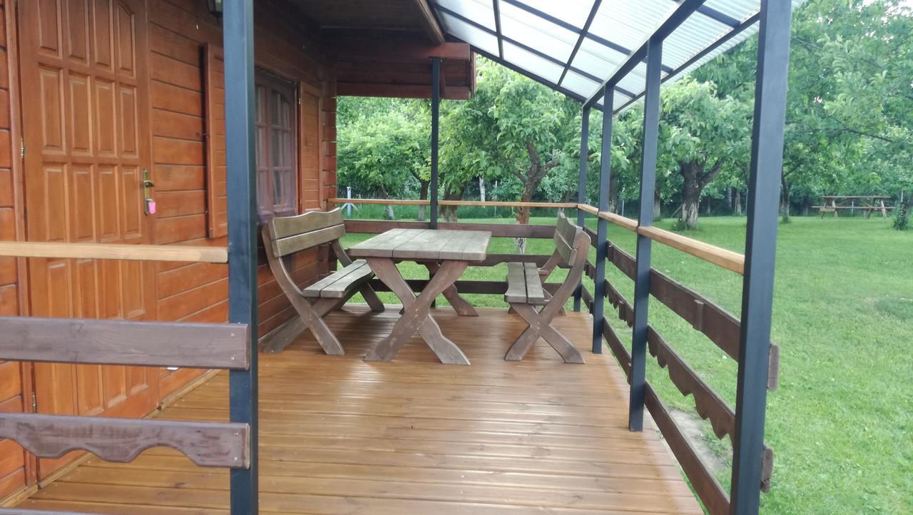 Gospodarstwo Agroturystyczne Z Basenem & Spa I Alpakami 厄尔科 外观 照片